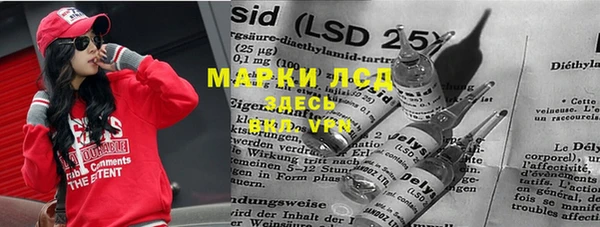 MESCALINE Елизово