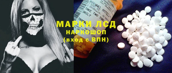 MESCALINE Елизово