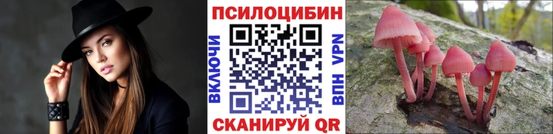 Галлюциногенные грибы MAGIC MUSHROOMS  KRAKEN как войти  Арзамас 