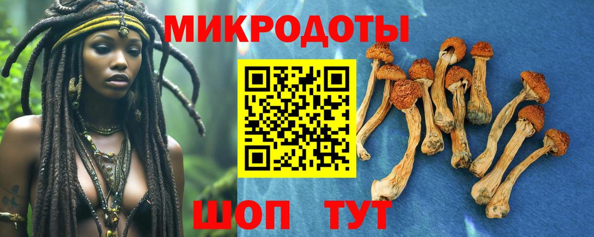 Арзамас  Псилоцибиновые грибы Magic Shrooms  Вход с VPN 