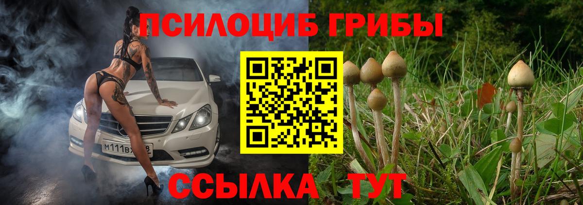 Галлюциногенные грибы ЛСД Арзамас